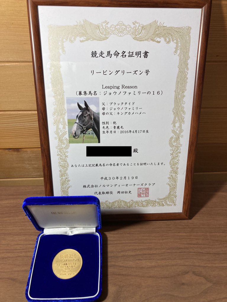 一口馬主掲示板の評判と回収率の実態｜出資者の本音とクラブ最新比較