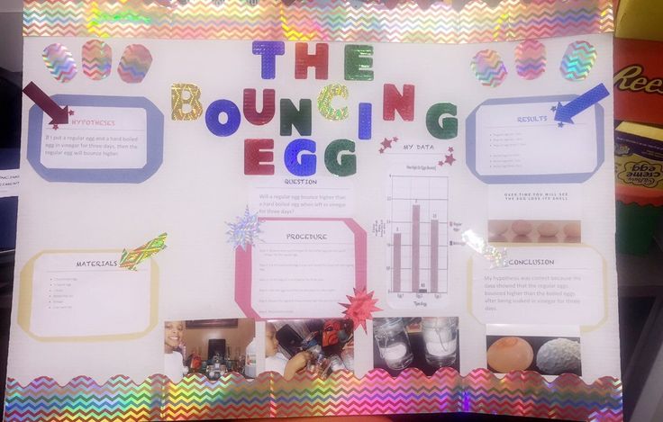 Step by Step Bouncy Egg Science Fair Project Board