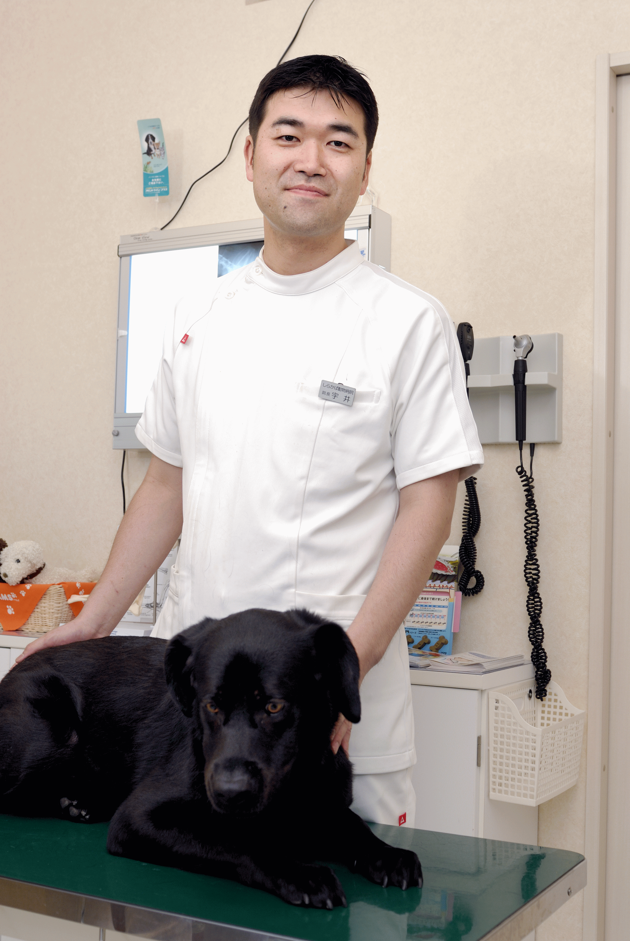 しらかば動物病院の口コミ評判と診療時間｜日曜診療や料金のリアル検証