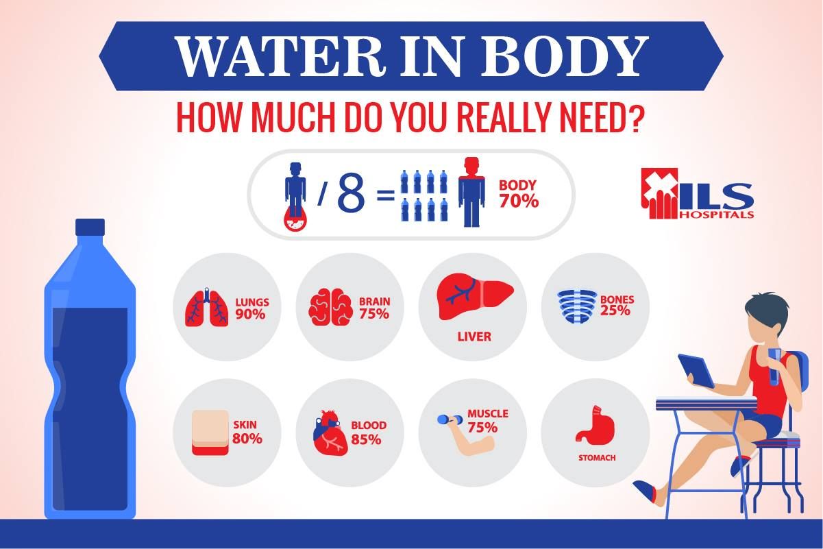 How Much Water Is the Human Body Made up Of