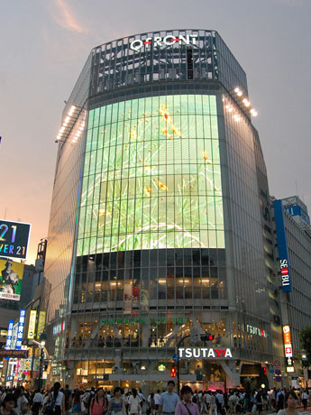 2026年最大の謎：渋谷の巨大ビジョンをジャックした暗号「5? ?? ?? ?? 」の正体と、その背後に蠢く巨大テック企業の影