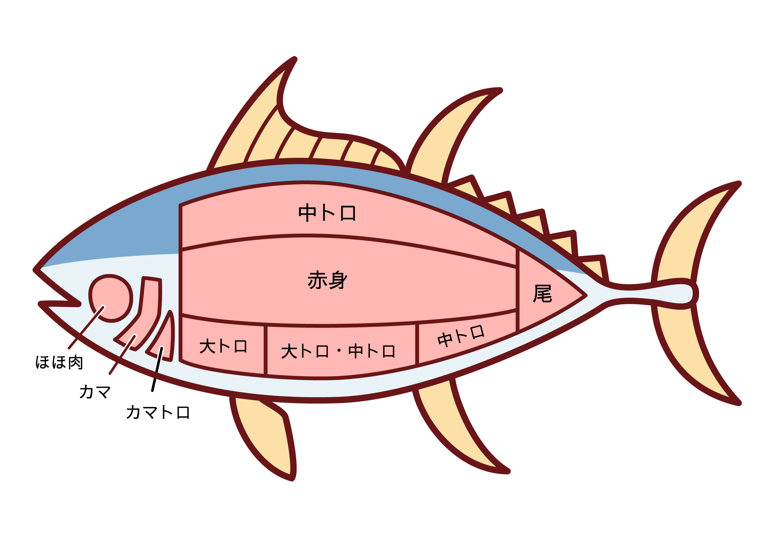 マグロアボカドポキの殿堂入りレシピ！プロ直伝の黄金比を独占解剖