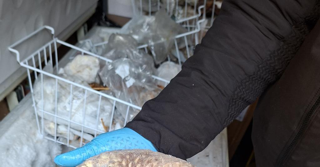 Police Seized 11Kg Illegal Bushmeat in London Raid