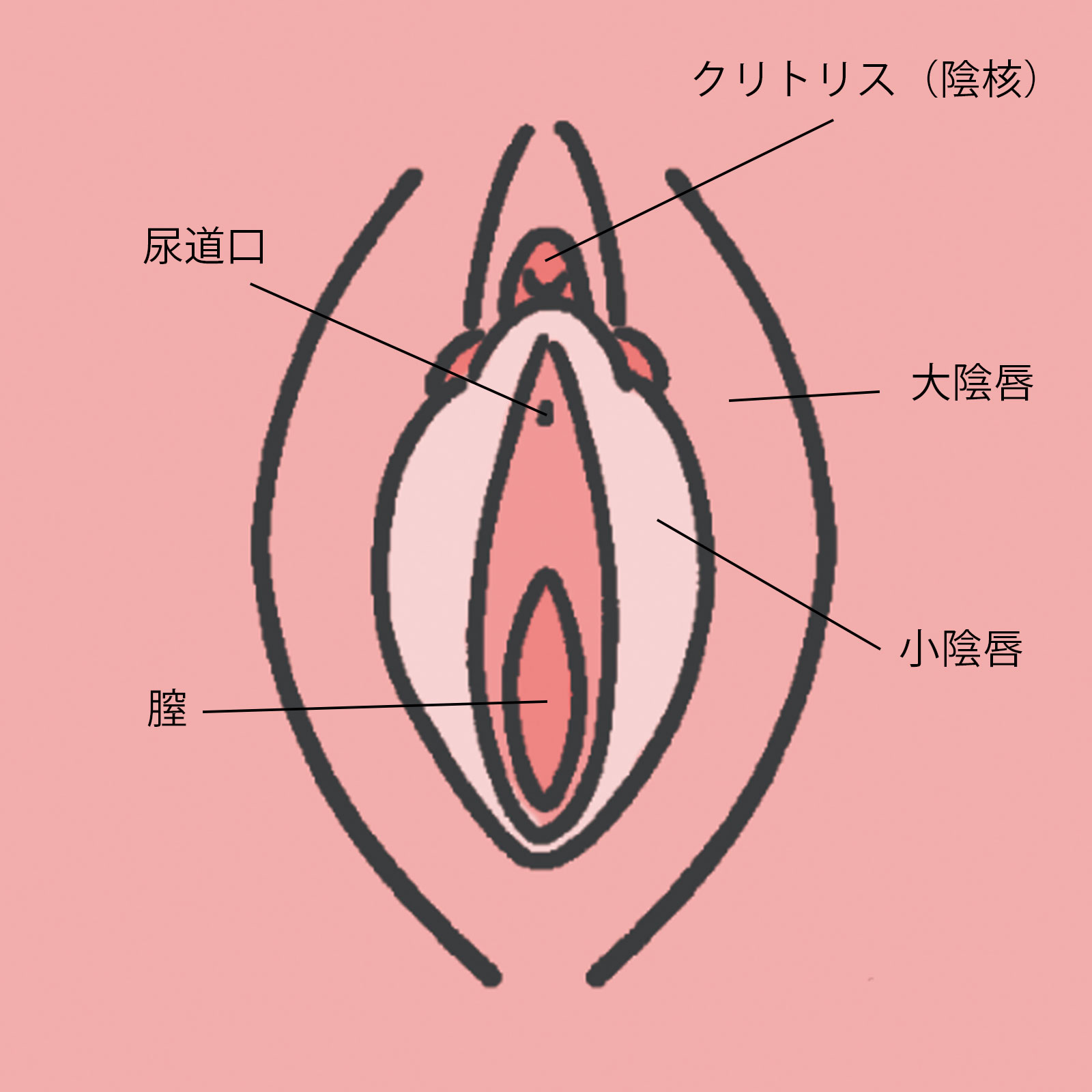 デリケートゾーンの臭い・黒ずみは洗い方が原因？2026年最新ケア事情