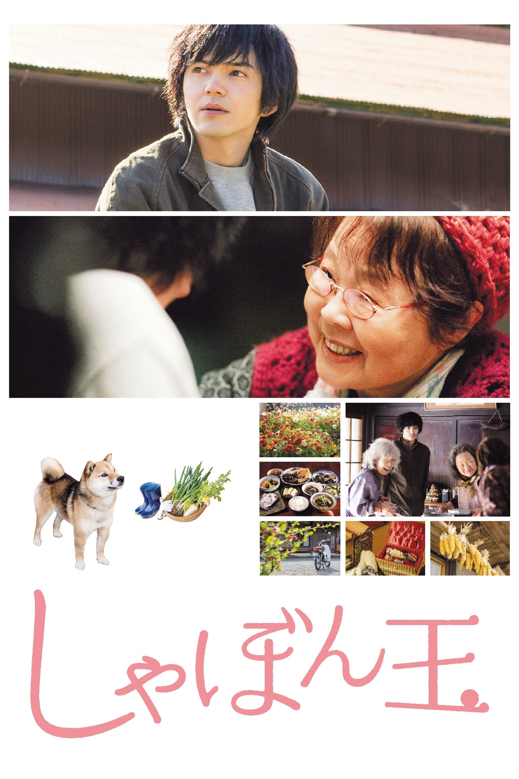 映画『しゃぼん玉』はどこで見れる？2026年最新の配信状況と無料視聴法