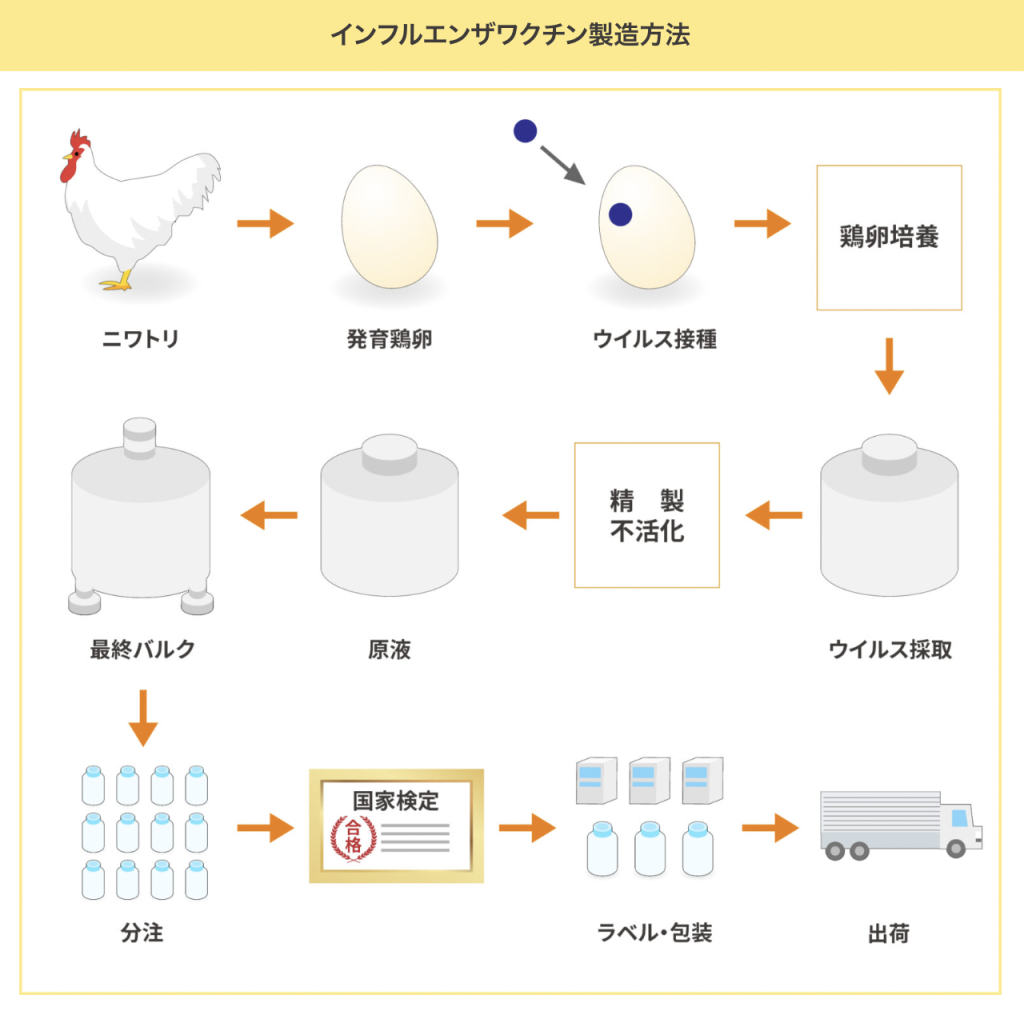 卵アレルギーでもインフルワクチン接種は可能？医師が明かす最新真実