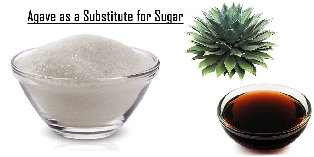 Sub Agave for Sugar