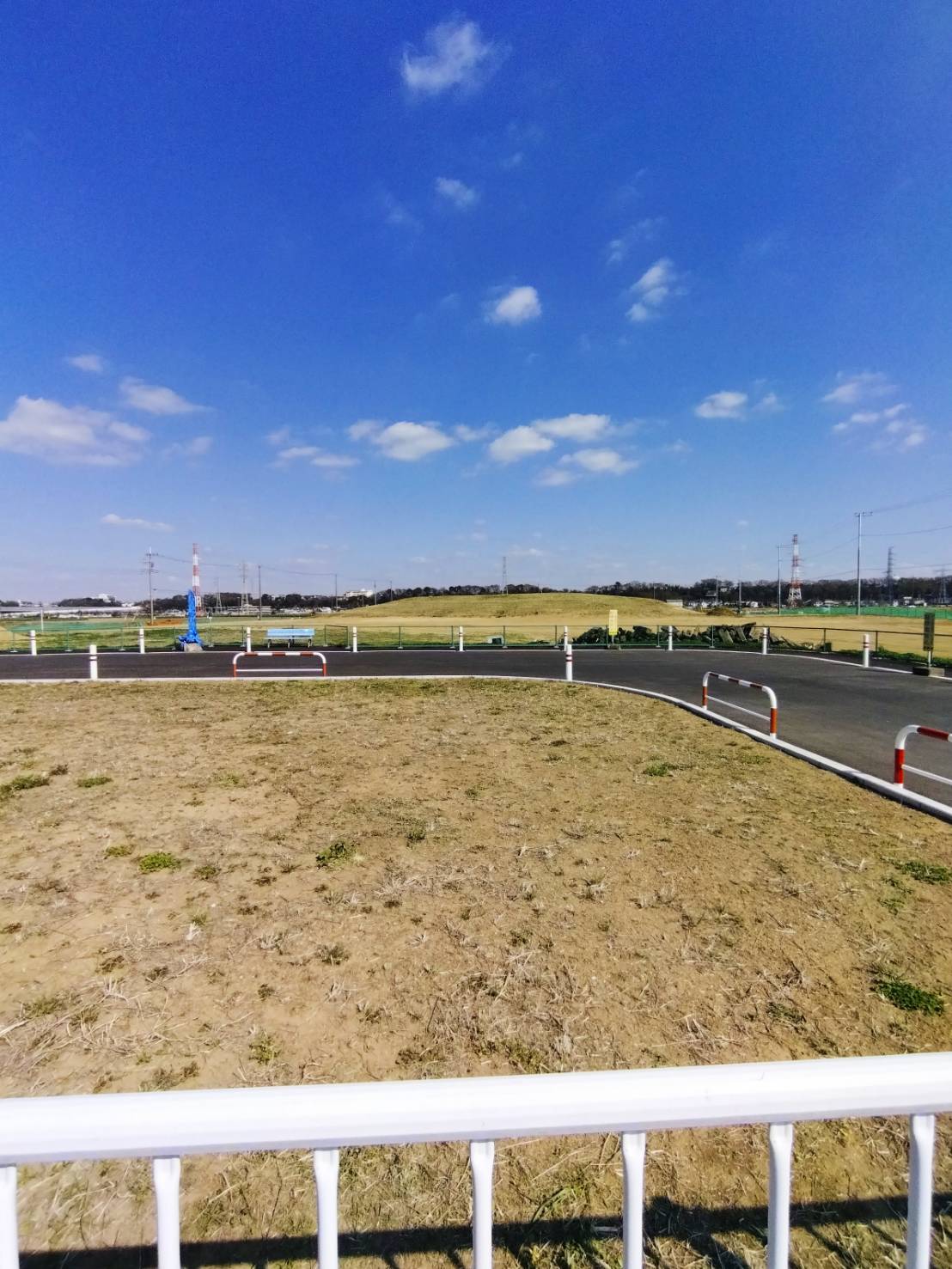 矢切の渡し公園の真相！2026最新の運行状況・料金から歩き方まで完全網羅