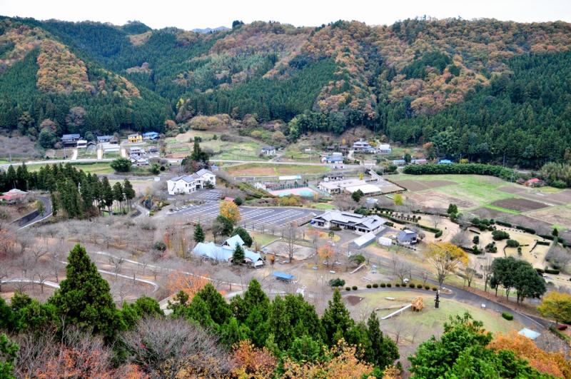 【2026年現地ルポ】脳の疲労をリセットする究極の聖地。「やすらぎの里」で現代人が手に入れる“持続可能な心身”の正体