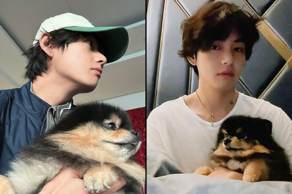 What Does Kim Taehyung Like