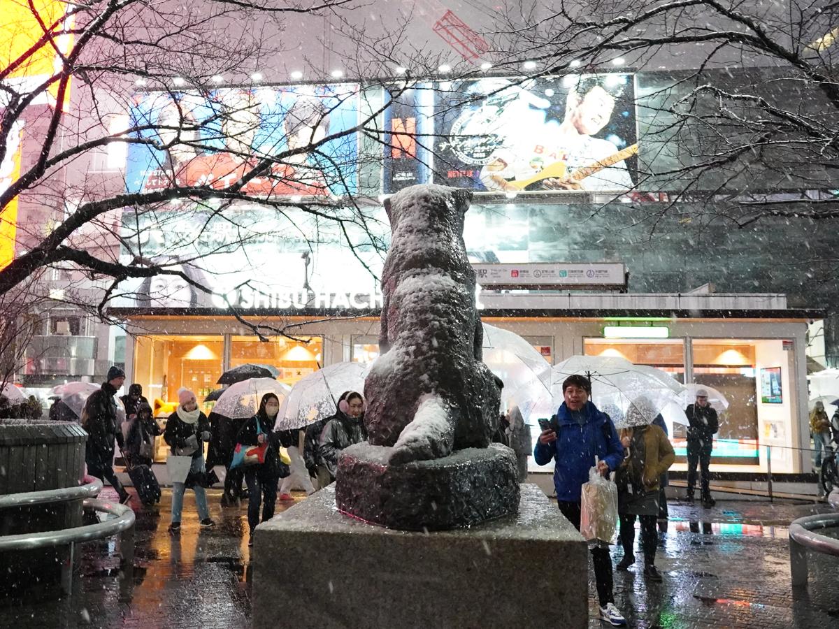 渋谷ハチ公に降る雪ともう一匹の雪像！歴代の傑作と作者の謎を追う