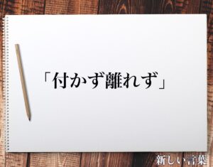 【必見】 付 かず 離れ ず 意味 人気理由と評判まとめ #961