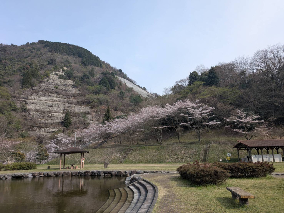 朝倉ダム湖畔緑水公園の現在は？閉鎖の噂とキャンプ利用の真相を追う