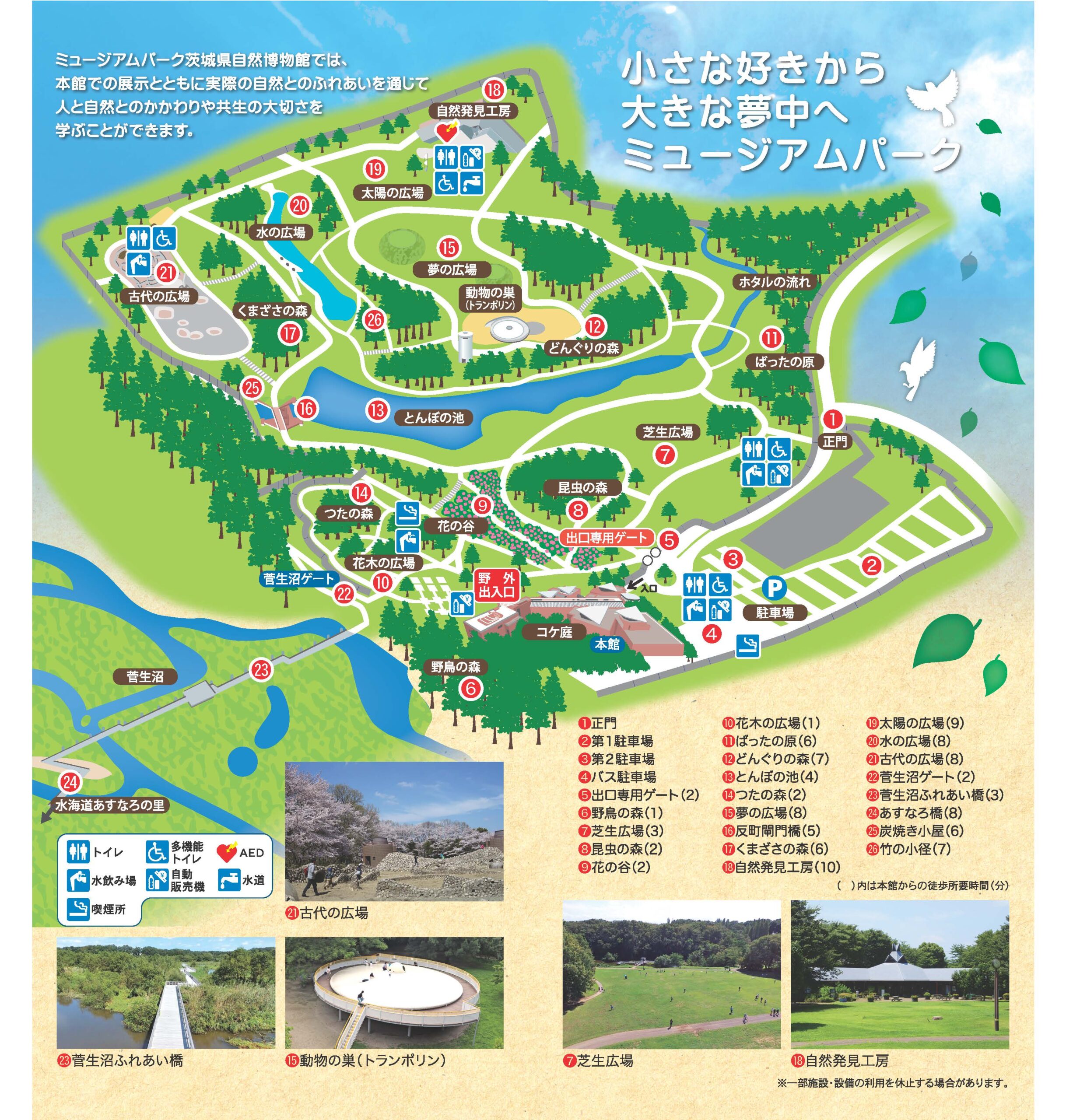 茨城県自然博物館の見どころ徹底解剖！恐竜展示と混雑回避の裏ワザ