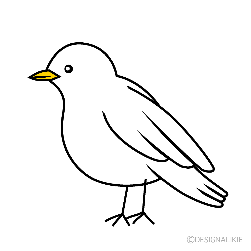白い鳥イラスト決定版！商用フリー素材の選び方と簡単な描き方