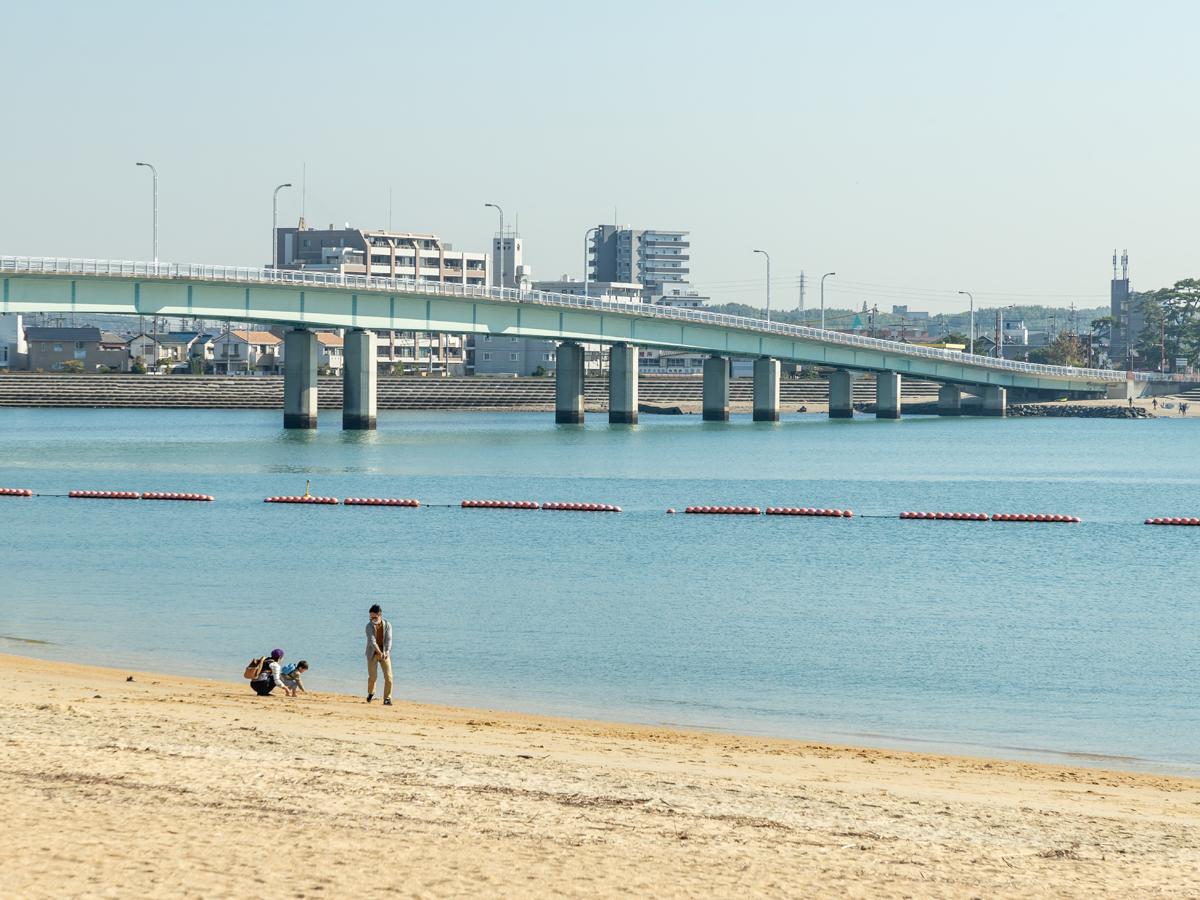 新舞子マリンパーク完全攻略2026｜釣り・Bbq・混雑回避の全真相