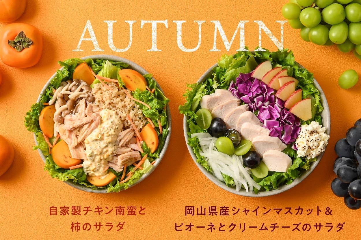 大宮サラダボウル2026年完全版！コスパ最強の穴場店を独自調査