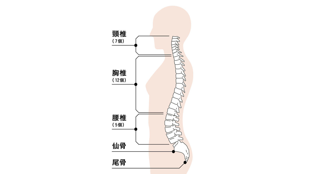 寝起きに身長が高いのはなぜ？最大2Cm差が出る真相と健診で伸ばす裏ワザ