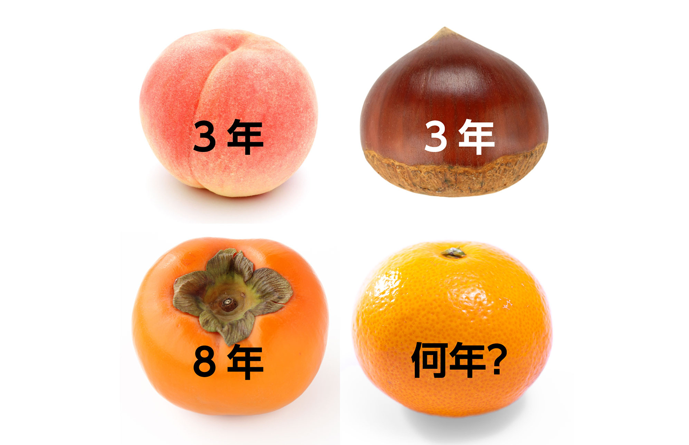 桃栗三年柿八年の続きが怖い？全フレーズと真相を徹底解説
