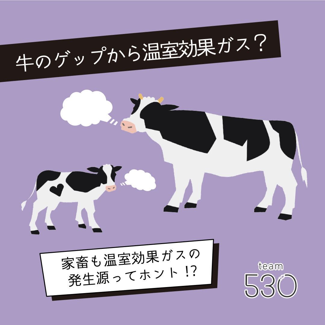 牛のゲップが温暖化を加速？メタン発生の真相と2026年削減技術