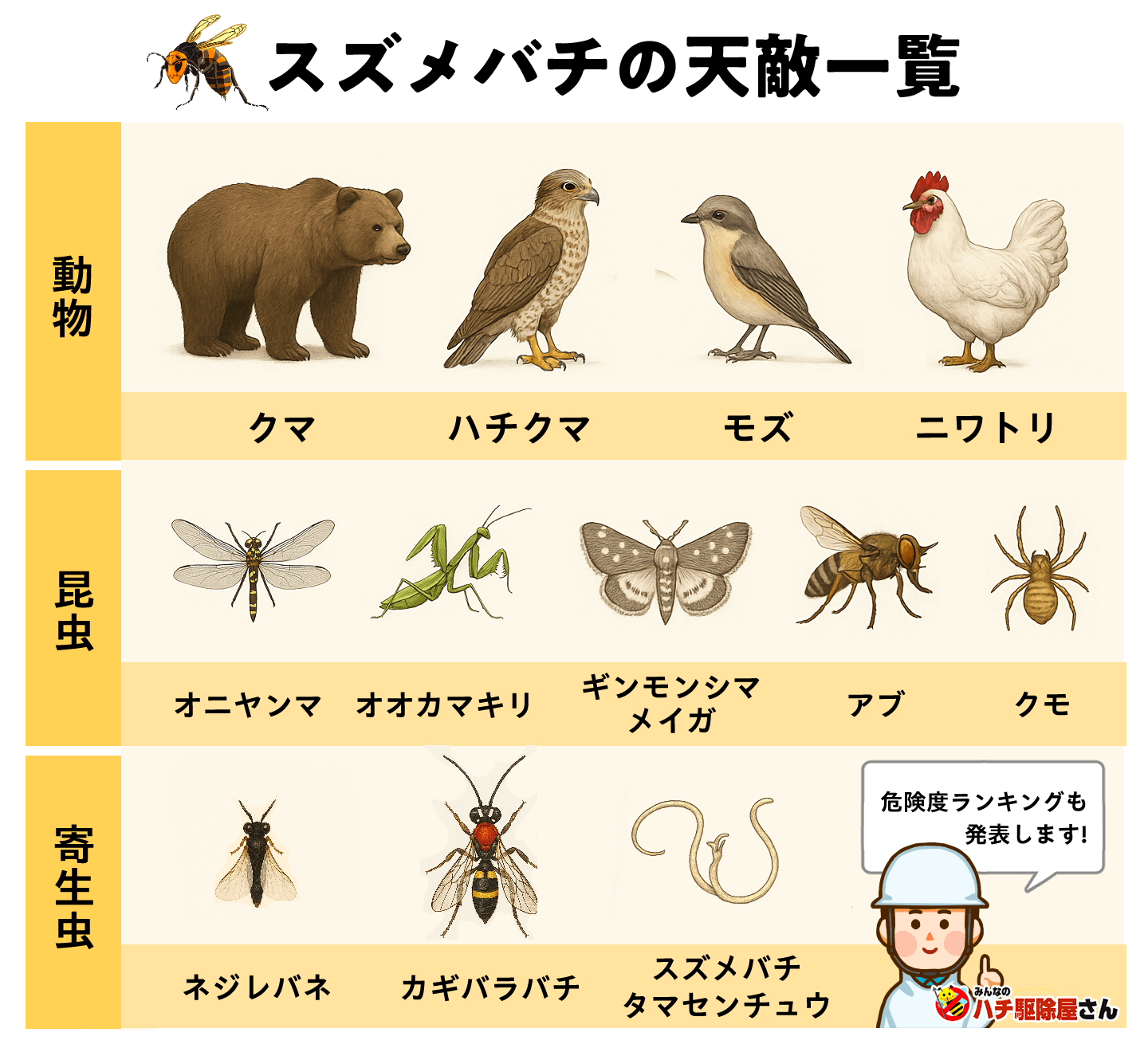 蜂の天敵ランキング2026！スズメバチを凌駕する最強生物の正体