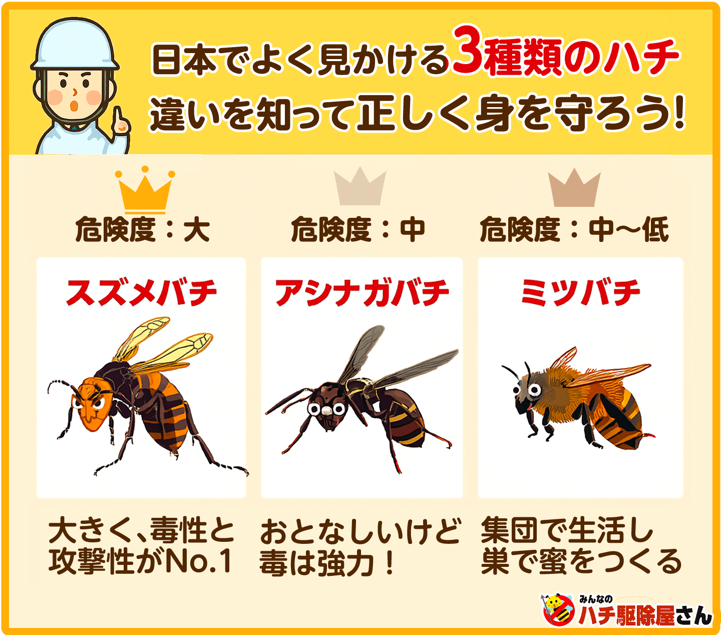 スズメバチとアシナガバチの違い！飛び方と巣で見分ける危険度
