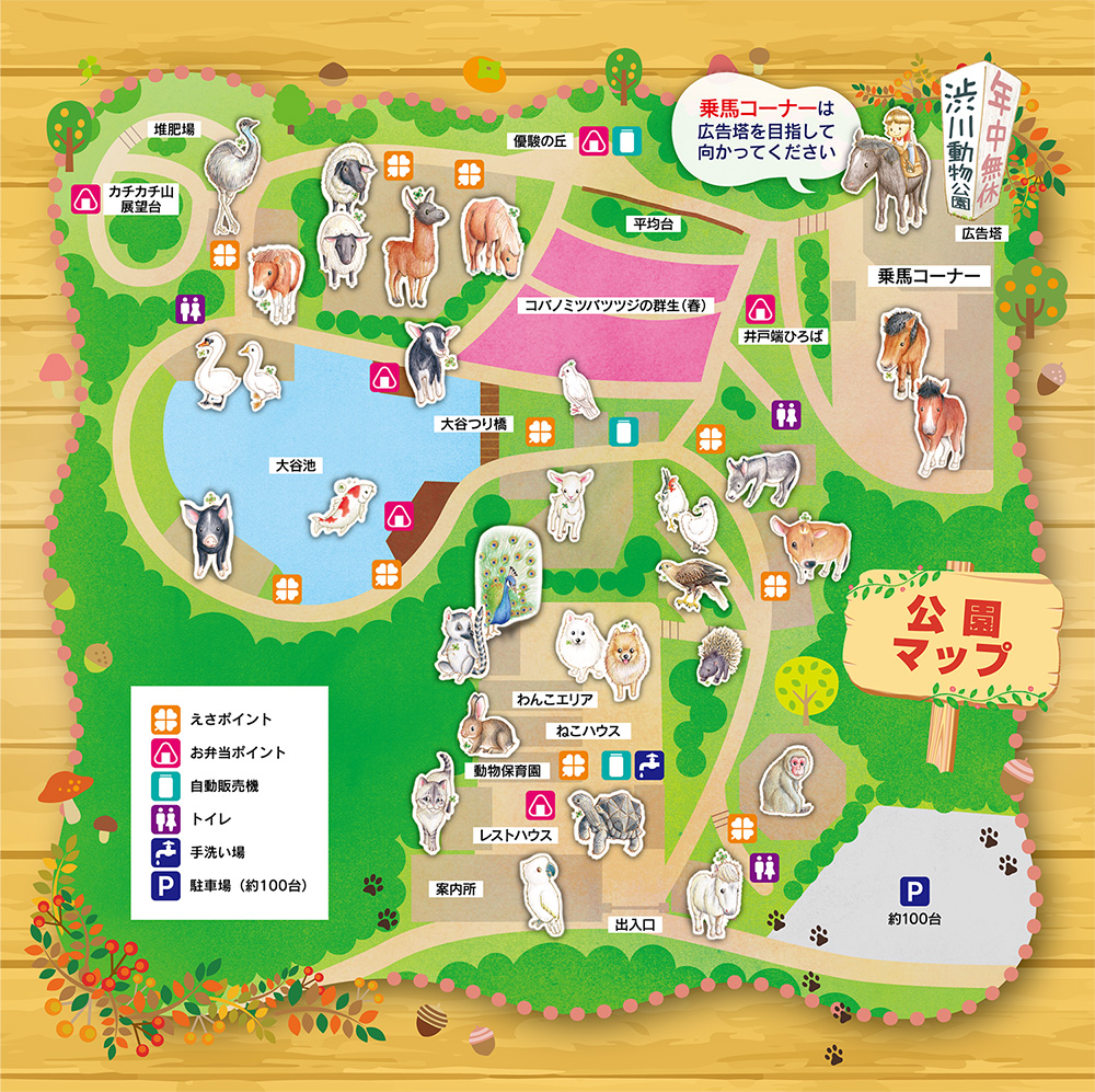 渋川動物公園の全貌と2026年最新ガイド！犬の散歩やゾウガメ脱走の真相