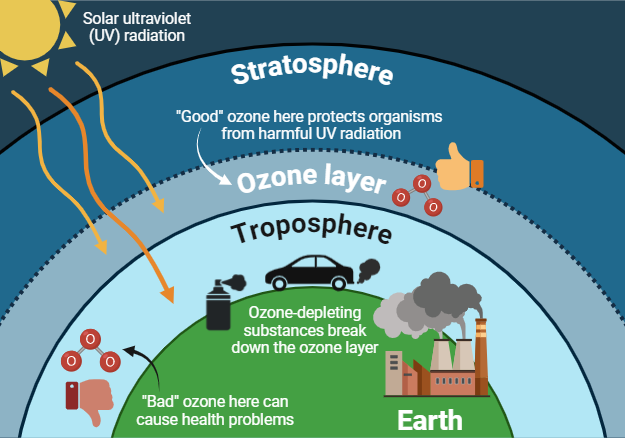 What Does Ozone Do to Humans