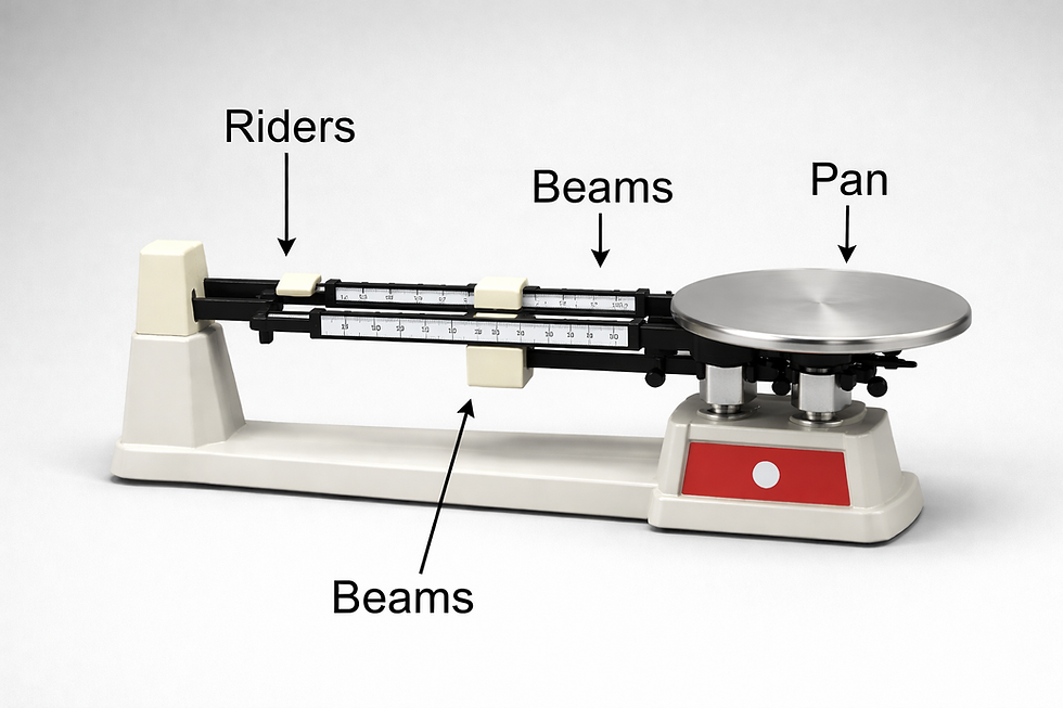 What Does a Triple Beam Balance Measure in Units