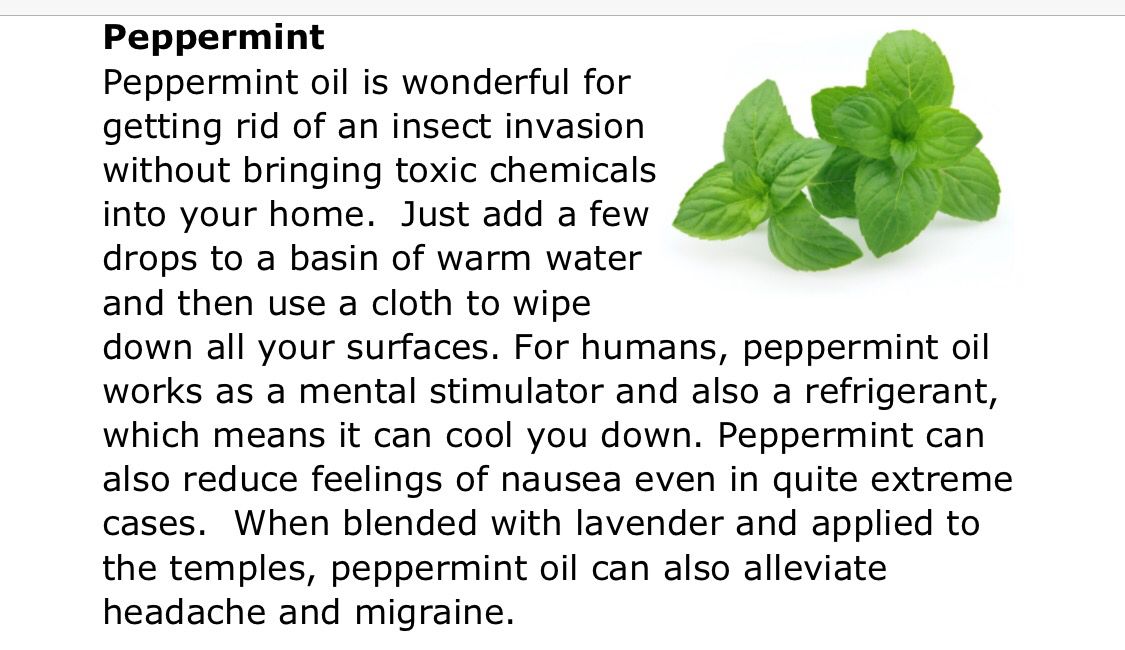 Is Peppermint Oil Poisonous