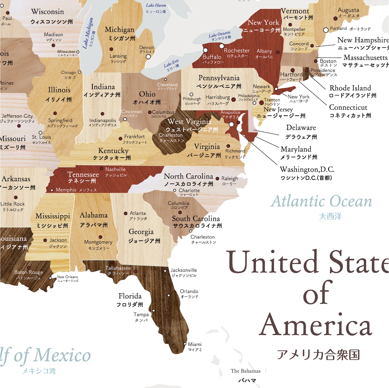 【2026最新】アメリカ地図完全把握！全50州の位置・時差と主要都市