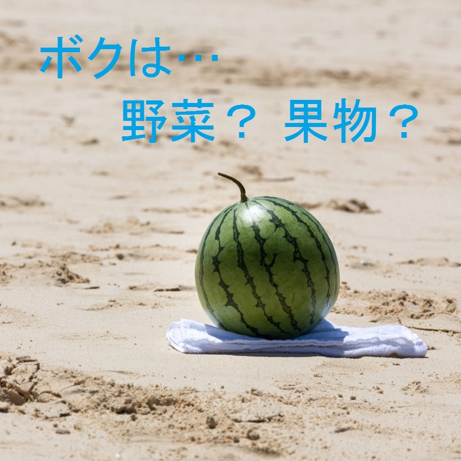 スイカは果物か野菜か？農水省の基準と「果実的野菜」の真相