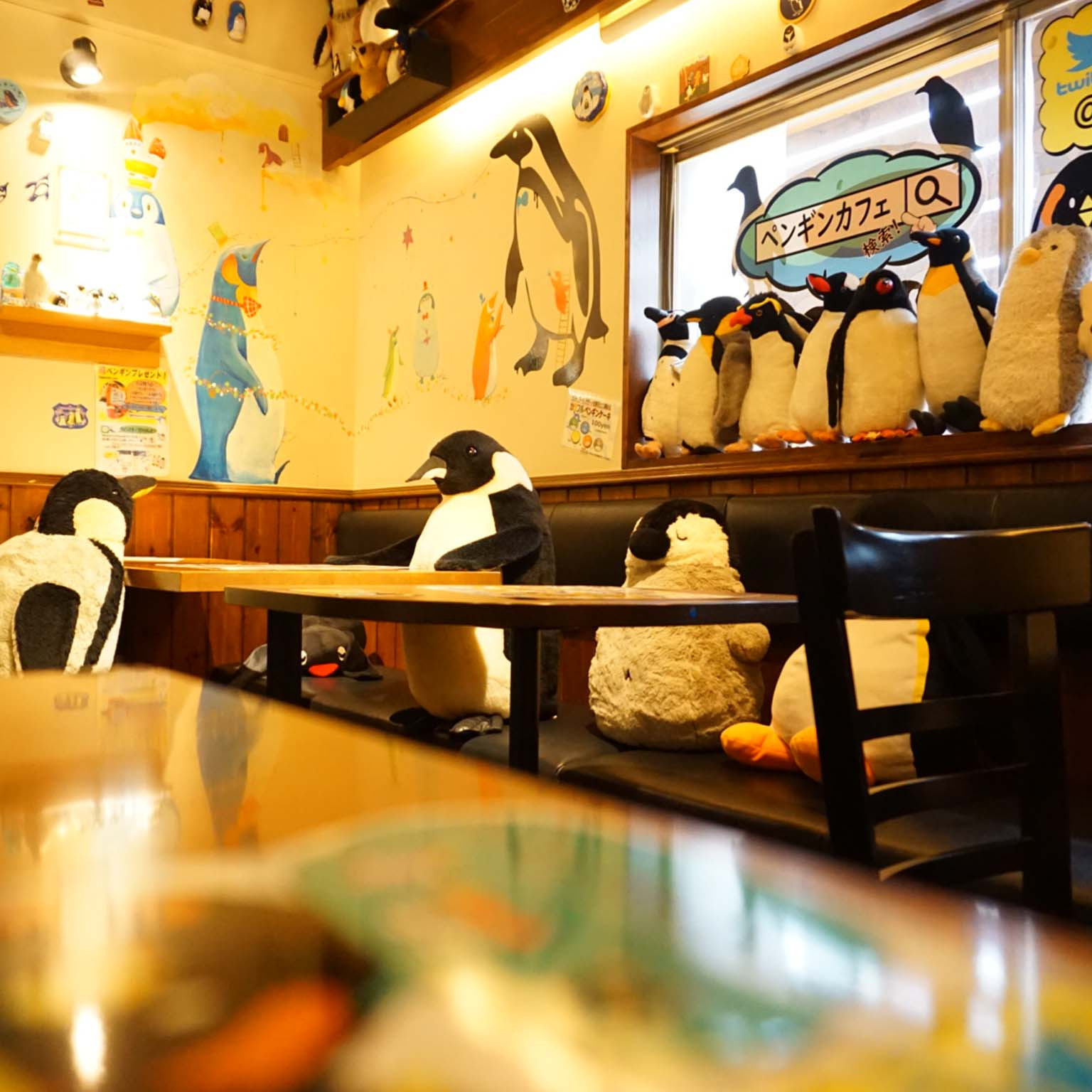 名古屋のペンギンカフェ徹底解剖！本物に会える噂の真相と人気メニュー