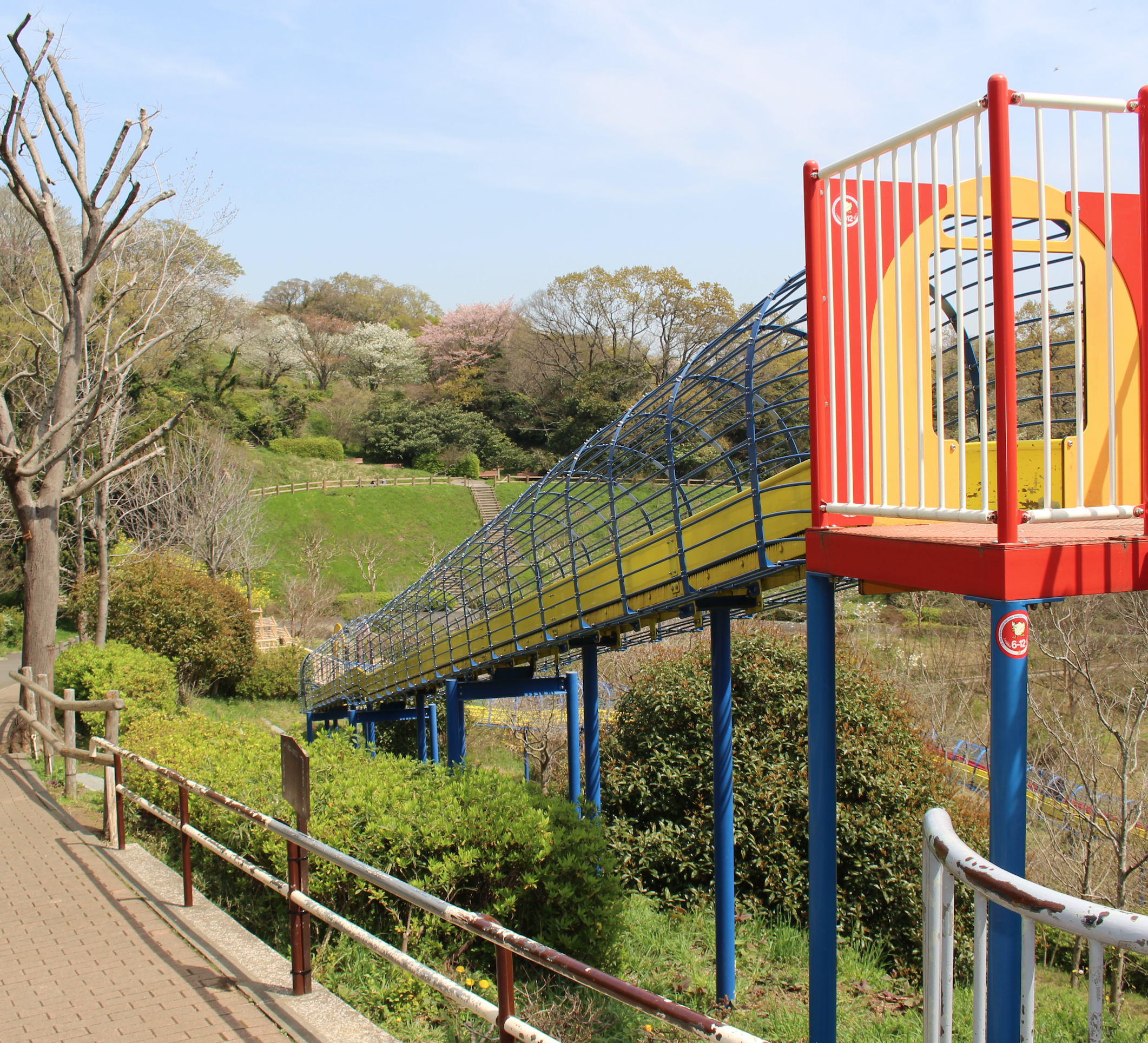 今すぐ行ける近くの公園！大型遊具と無料駐車場の穴場を徹底検証