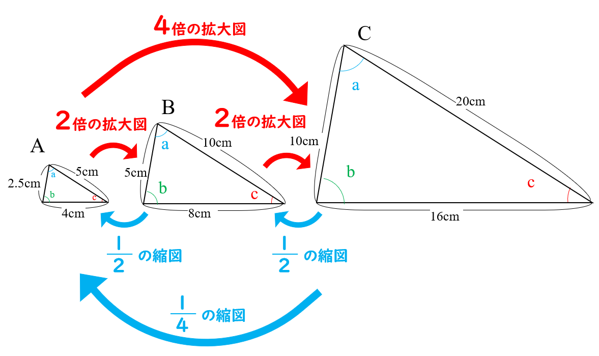 小6算数「拡大図と縮図」攻略法！つまずく原因と見分け方の極意