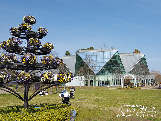 圧巻の四季花畑と穴場撮影スポット！江南の自然を巡る特選ガイド