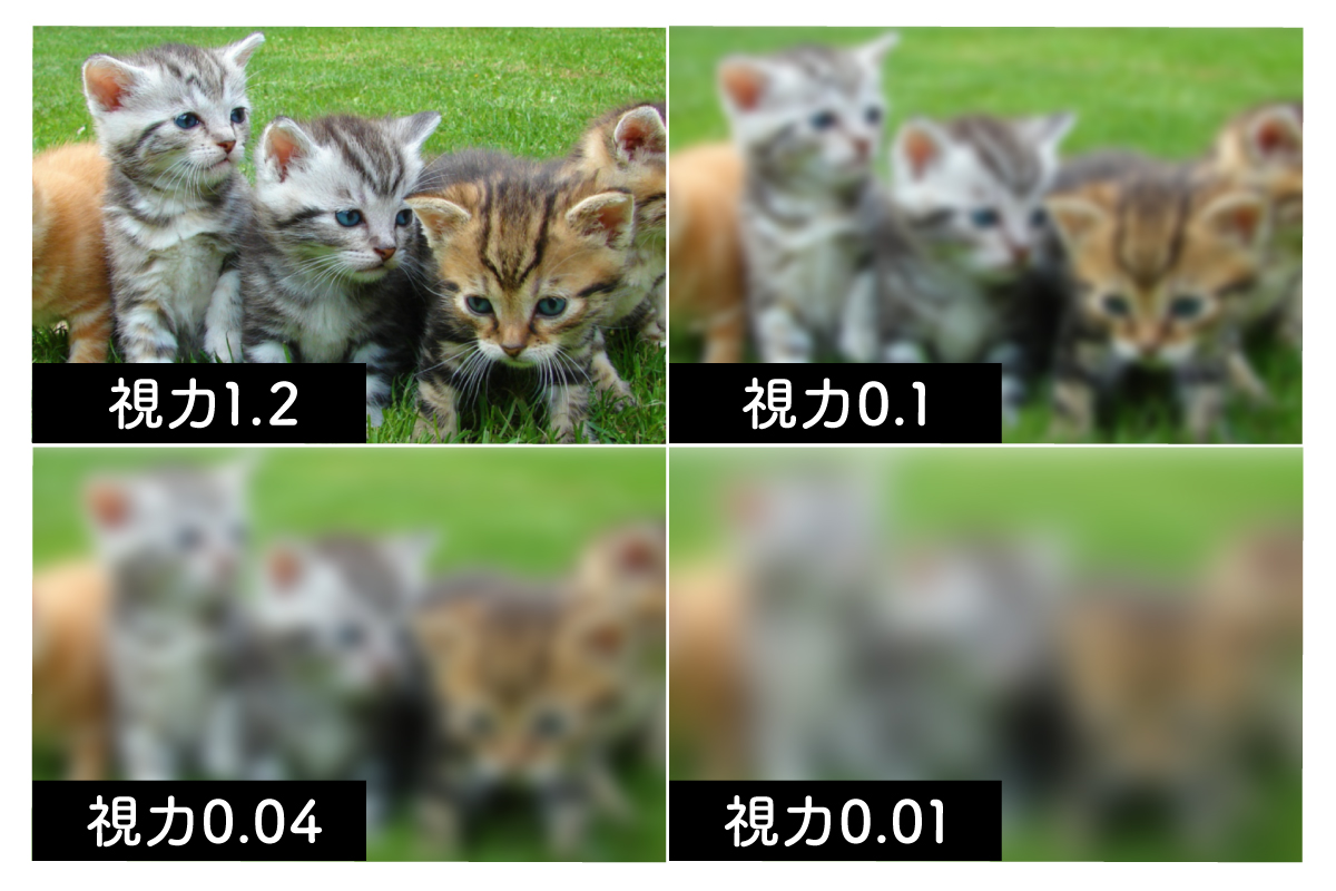 視力0.3の見え方はどこまでぼやける？免許更新やメガネ基準を徹底検証