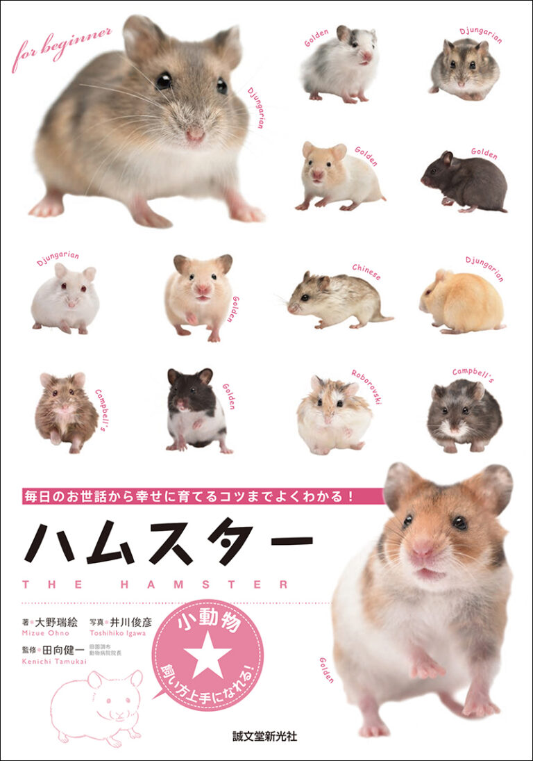 可愛すぎるハムスター写真の撮り方！スマホ撮影術とハムケツの魅力