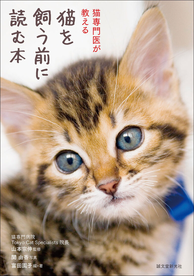 泣ける名作から実用書まで！2026年今読むべき珠玉の猫本を徹底厳選