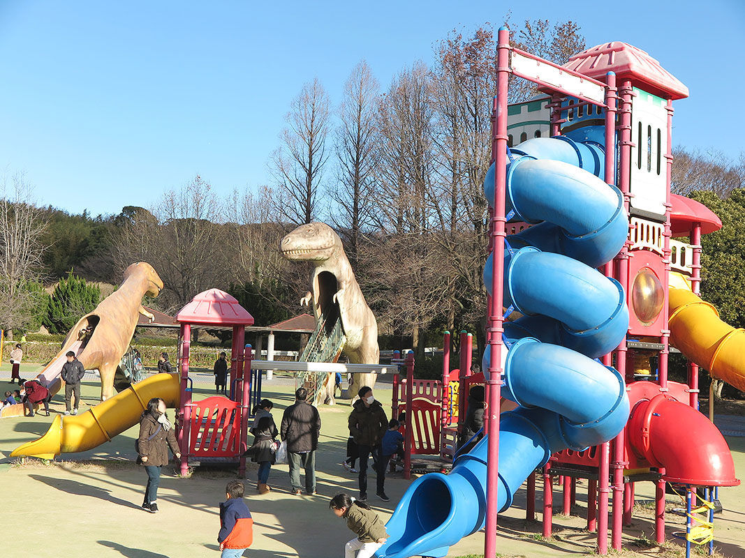 駐車場がある公園2026最新版｜満車回避の裏ワザと無料穴場をプロが徹底解説