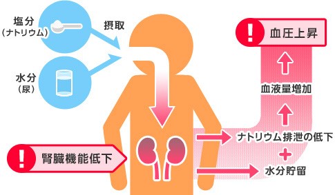 納豆の過剰摂取で命を落とす？ネットを揺るがす噂の真実と、医師が警告する「本当の危険ライン」