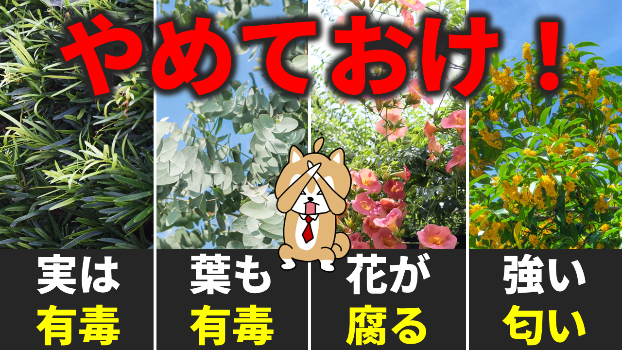 庭に植えて後悔！家屋損壊や増殖地獄を招く危険な植物とプロの対策法
