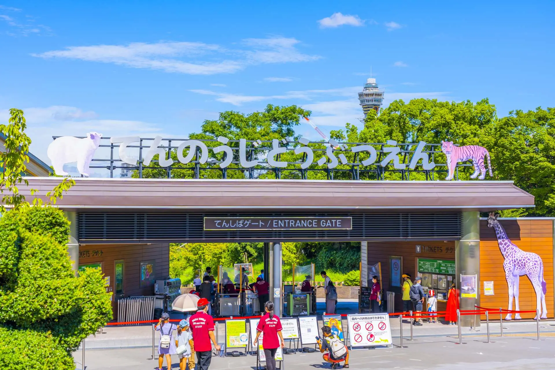 天王寺動物園2026最新攻略！料金・割引の真相と混雑回避法