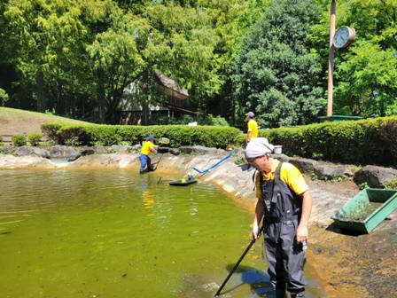 【まとめ】 池 の 水 全部 抜く ファン必見の最新情報 #848