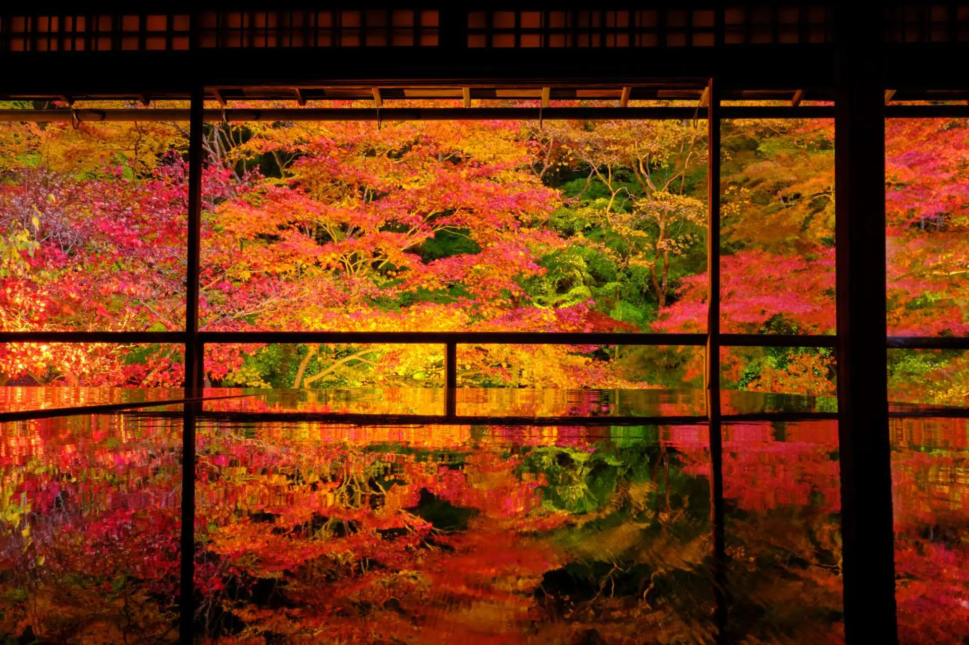 2026年の宮島、観光客が去った奥庭で――紅葉 谷 公園が教えてくれる「本物の静寂」と木々の息づかい