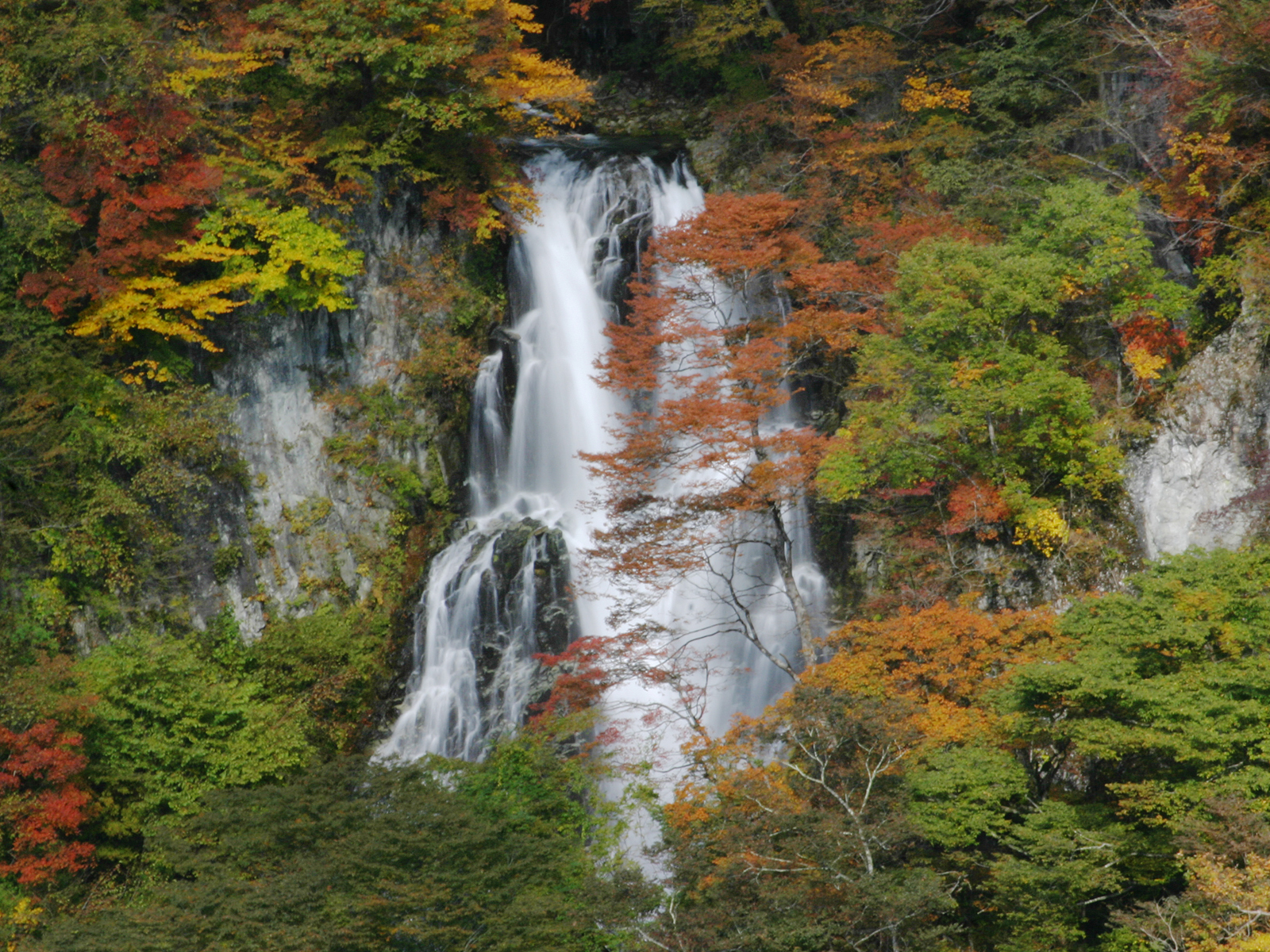 日光「霧降の滝」完全攻略！観瀑台への所要時間と紅葉見頃・駐車場情報