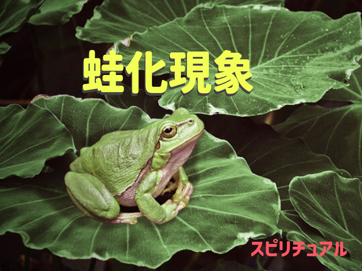 なぜ急に冷めるのか？蛙化現象の具体例と心が拒絶する心理の正体