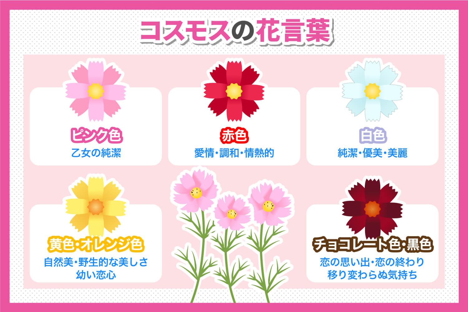 コスモスの花言葉に怖い意味はある？色別・本数別の真相とギフトの注意点