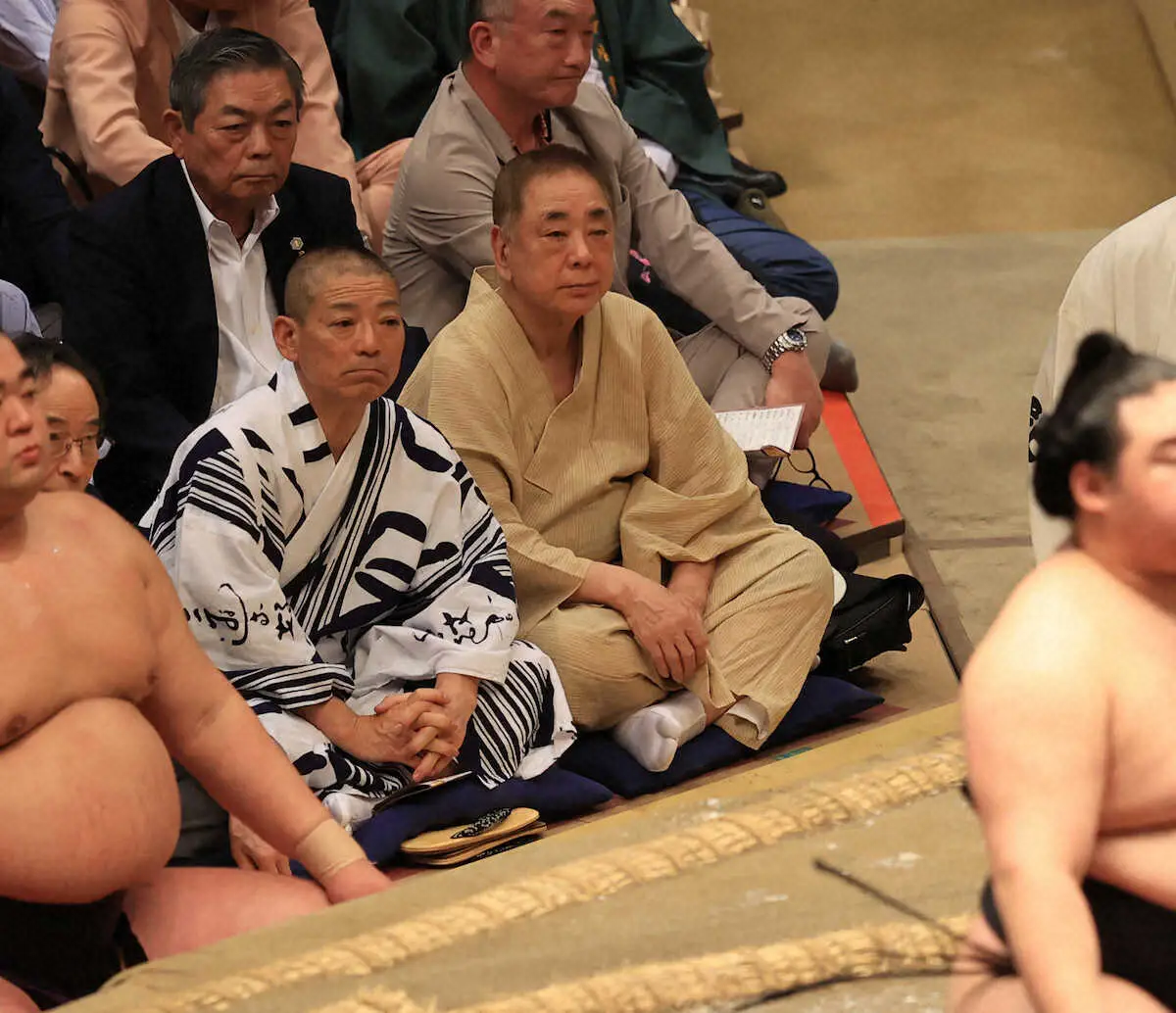 土俵からエンタメ界へ！元力士と相撲好き芸能人が見せる意外な現在