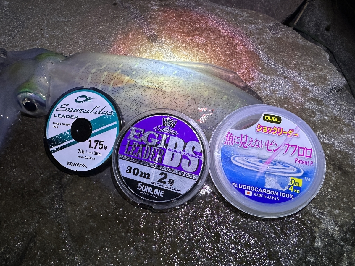 エギングリーダーの長さで釣果激変！長すぎ・短すぎの罠とプロの最適解